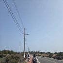 사임당로20길 5 (1) | 제주] 초보자 제주 올레20길 코스 (26.03.17일 당일치기)