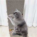 고양이아울렛