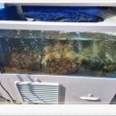 부평공원3 이미지