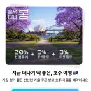 주식회사 스카이정보통신 | 호주 스카이다이빙 추천 지역 TOP 6 비교ㅣ시드니부터 퍼스까지 비용 예약 방법 알아보기