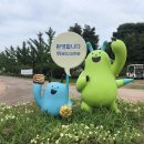 제1145차 '2024년06월29일 (토요일) 공항철도 검암역 드림파크 야생화 단지 이미지