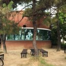 음악이흐르는숲 이미지