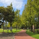 메타세콰이어 화장실 이미지