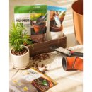 원예가드닝 이미지