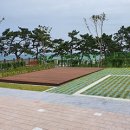 강동오토캠핑장 이미지