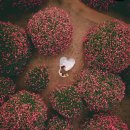 자연슈퍼 | [내돈내산/작가후기]슈퍼헬퍼 10월 제주 웨딩스냅 &#39;코지스트&#39;