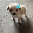 (주)소리마트 네이버블로그