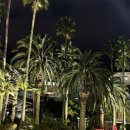 그라벨 호텔 제주 | 제주 그라벨호텔 수영장 키즈룸 아기랑 후기