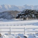 솔밭목장 이미지