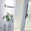 백산프라자 | 눈매 자신감 UP! 범계 뷰티샵 방문 후기, 나만의 속눈썹 경험이에요