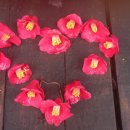 제주팡스테이 이미지