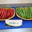 대열농장 이미지