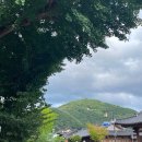 정율 행정사사무소 이미지