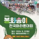 봉화공설운동장 이미지