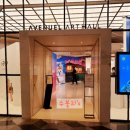 매일멍냥8 이미지