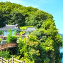 함안 능가사 칠성탱 | “함안 가볼만한 곳 맞아?”… 낙동강 절벽 위에 떠 있는 사찰, 능가사에서 만난 겨울 풍경