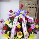 혜화산부인과의원 이미지