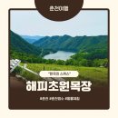 [춘천] 해피초원목장 - 춘천에서 만난 한국의 스위스, 해피초원목장 체험기