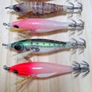 참인-코리아 이미지