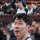 10년 헌신' 손흥민 주급 1.5배 줄게, 토트넘 역대급 파격 조건...제2의 피를로 영입 구단 역대 최고 이적료 예상 이미지