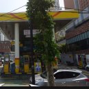 세화주유소 이미지