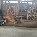 김진욱농장 이미지