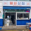 버드나무양조장(주) | [강릉여행/2025.07] 강릉 로컬 양조장 버드나무 브루어리 혼술 후기