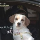 우리덕구동물병원 이미지