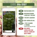 샤인커머스