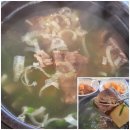 왕갈비탕 | 청주 남일면 효촌맛집 청남대 한우 왕갈비탕 후기