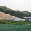 초리농장 이미지