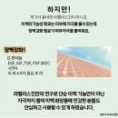 라멜라 | 라멜라스킨 미백크림 솔직 후기｜꽈리열매추출물로 톤·여드름 자국 케어