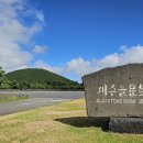 제주돌문화공원 이미지