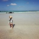 신창-비상-제001호 | 캠핑러 제주도 차박하기 좋은 명소 추천 리스트 알아보기