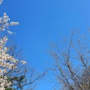 인창중앙공원(산책로) 이미지