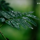 효자실버요양원 이미지