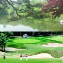 갤러리 골프 연습장 이미지