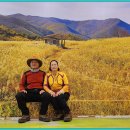 평원상회 이미지