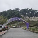 귀연오리닭