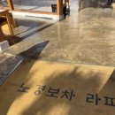 동그란 멍멍이 | 경주 신상카페 노경보차라파 긴가민가 했던 솔직후기