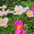 원재한의원 이미지