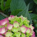 준이농장 이미지