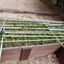 여남경로당 이미지