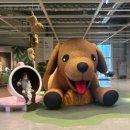 GR(부산광역시 기장군)-[동부산관광9로]-하-1 | 부산 기장 가볼만한곳｜동부산 이케아 실내 데이트 코스 (층별 동선·쇼핑 후기) 🛒