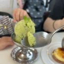 달달한아이스크림고덕점 | 평택 고덕 디저트 카페 토프 후기 | 여름 한정 키위 소르베 솔직 리뷰
