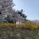 모산골 공원 이미지