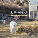옥천산방라온 | 양평 방4개 단체로 놀러가기좋은 애견동반독채펜션 옥천산방라온