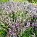 희망찬토지공인중개사사무소 이미지