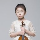 바이올린 이미지