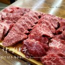 안성 한우 정육식당 학성한우 특수부위 살살녹는 소고기 로컬맛집